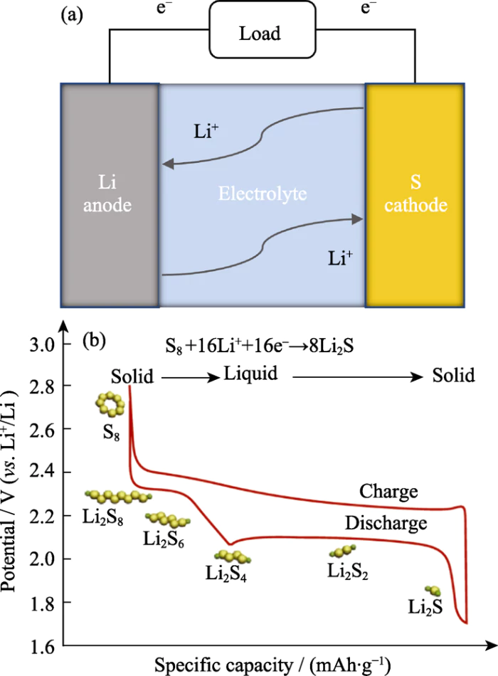 그림 1. (a) 리튬-황 배터리 구성 및 (b) 해당 충방전 과정의 개략도