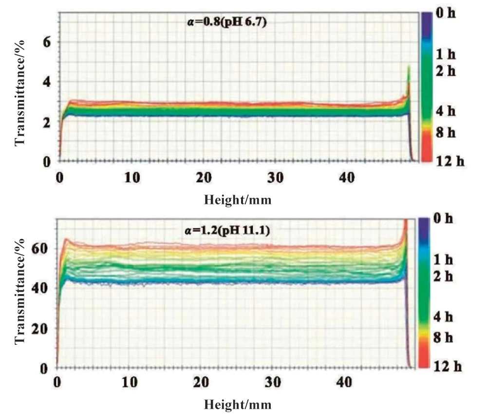 Stability Analyzer